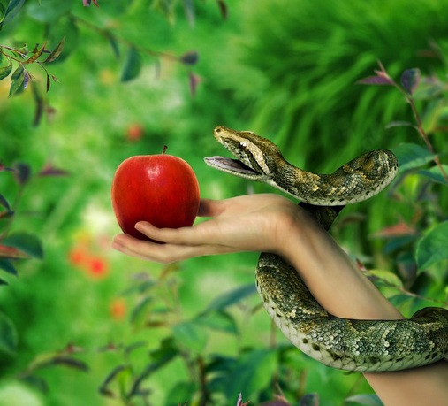 00-manzana-y-serpiente